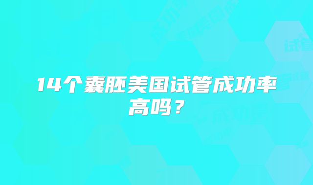 14个囊胚美国试管成功率高吗？