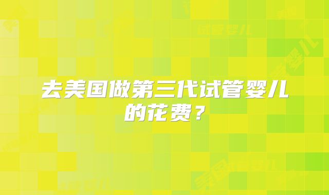 去美国做第三代试管婴儿的花费?