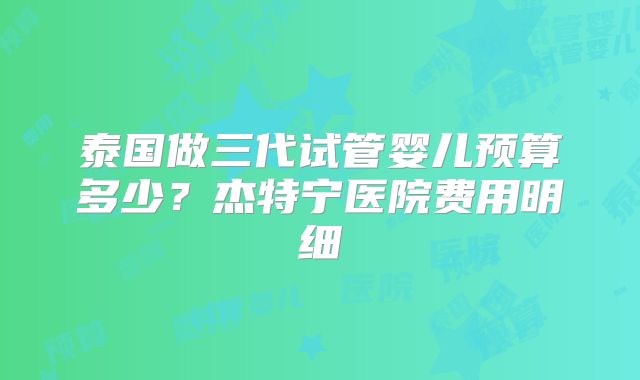 泰国做三代试管婴儿预算多少？杰特宁医院费用明细
