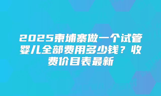 2025柬埔寨做一个试管婴儿全部费用多少钱？收费价目表最新