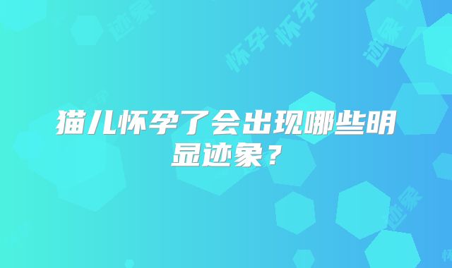 猫儿怀孕了会出现哪些明显迹象？