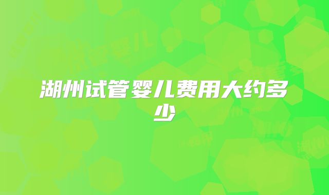 湖州试管婴儿费用大约多少