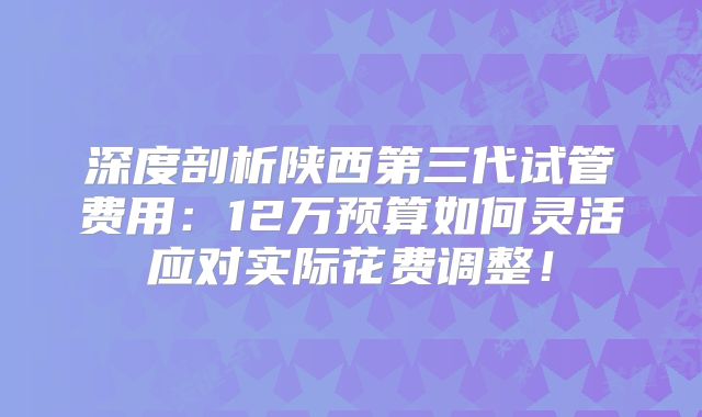 深度剖析陕西第三代试管费用:12万预算如何灵活应对实际花费调整!
