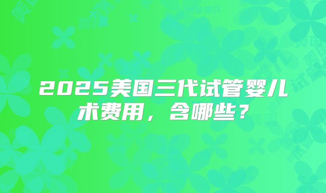 2025美国三代试管婴儿术费用，含哪些？