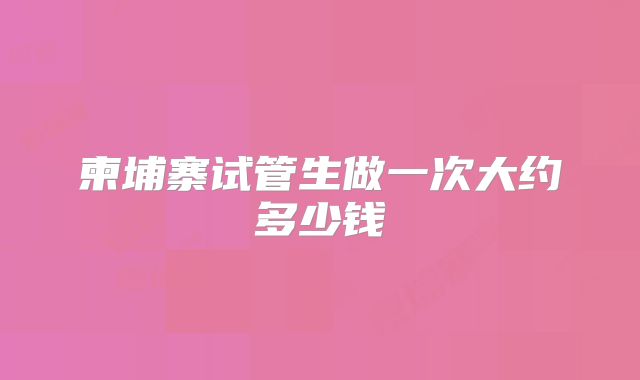 柬埔寨试管生做一次大约多少钱