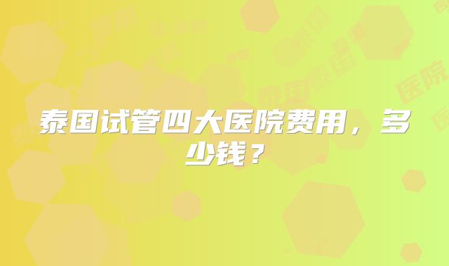 泰国试管四大医院费用，多少钱？