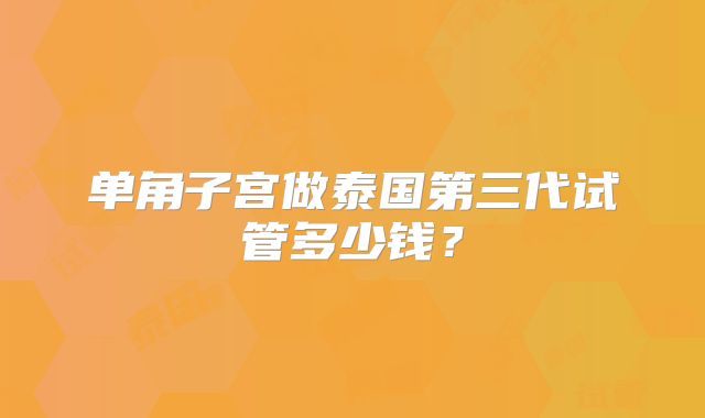 单角子宫做泰国第三代试管多少钱？