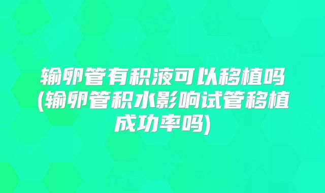 输卵管有积液可以移植吗(输卵管积水影响试管移植成功率吗)