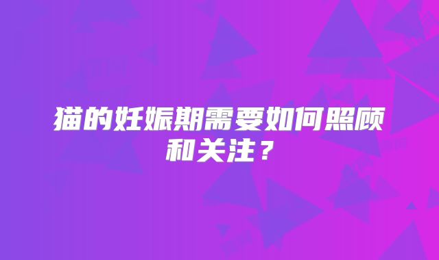 猫的妊娠期需要如何照顾和关注?