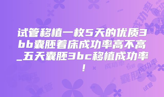 试管移植一枚5天的优质3bb囊胚着床成功率高不高_五天囊胚3bc移植成功率！