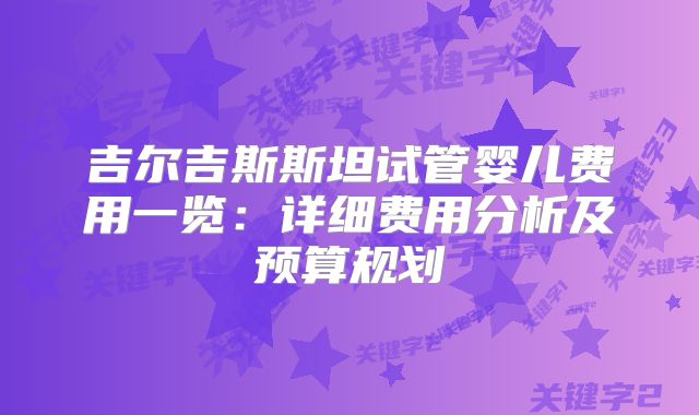 吉尔吉斯斯坦试管婴儿费用一览：详细费用分析及预算规划