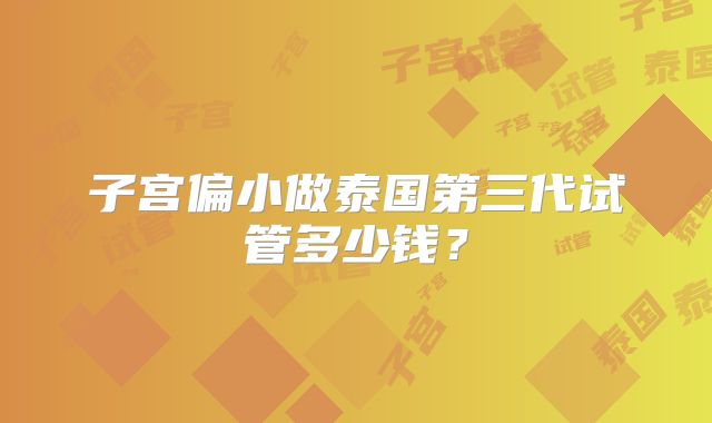 子宫偏小做泰国第三代试管多少钱?