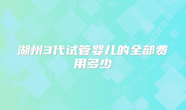 湖州3代试管婴儿的全部费用多少