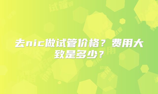 去nic做试管价格？费用大致是多少？