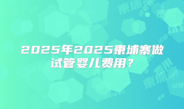 2025年2025柬埔寨做试管婴儿费用？