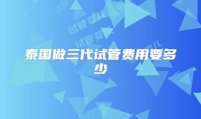 泰国做三代试管费用要多少