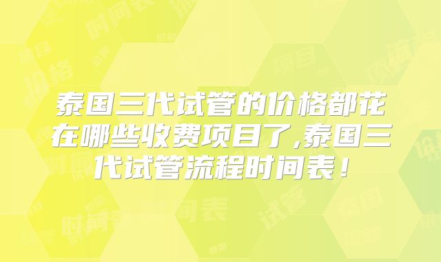 泰国三代试管的价格都花在哪些收费项目了,泰国三代试管流程时间表！