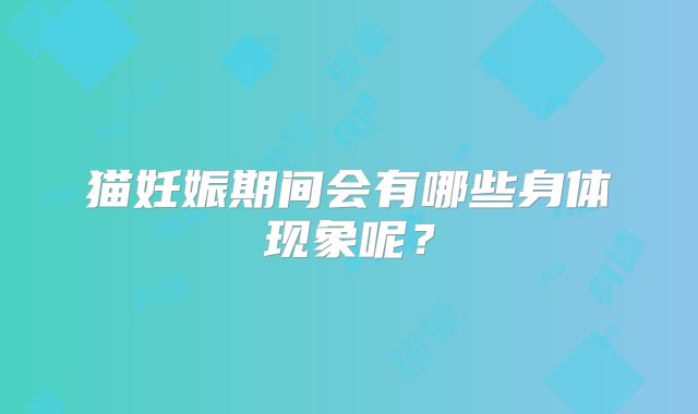 猫妊娠期间会有哪些身体现象呢？