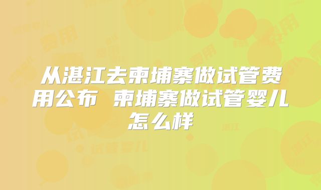 从湛江去柬埔寨做试管费用公布 柬埔寨做试管婴儿怎么样
