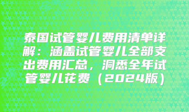 泰国试管婴儿费用清单详解：涵盖试管婴儿全部支出费用汇总，洞悉全年试管婴儿花费（2024版）