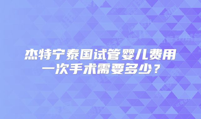 杰特宁泰国试管婴儿费用一次手术需要多少?