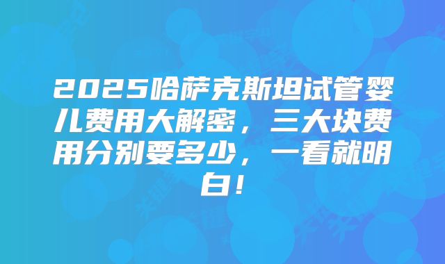 2025哈萨克斯坦试管婴儿费用大解密,三大块费用分别要多少,一看就明白!