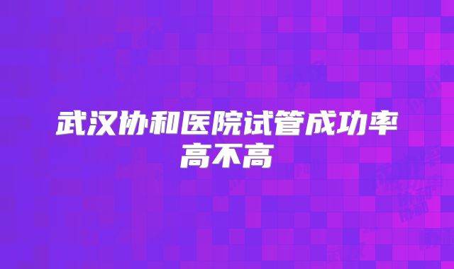 武汉协和医院试管成功率高不高