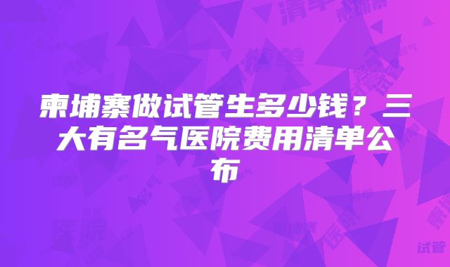 柬埔寨做试管生多少钱？三大有名气医院费用清单公布