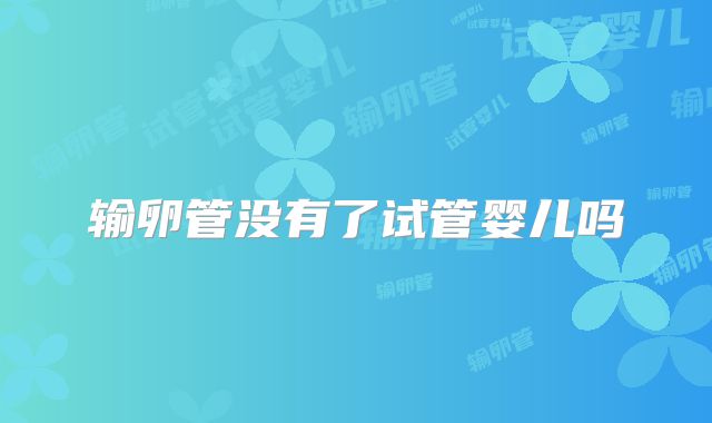 输卵管没有了试管婴儿吗