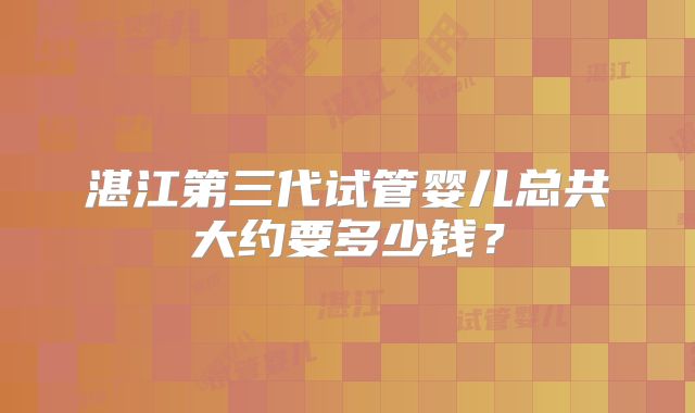 湛江第三代试管婴儿总共大约要多少钱?