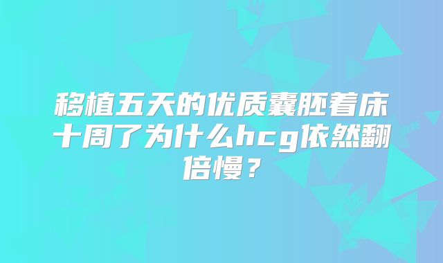 移植五天的优质囊胚着床十周了为什么hcg依然翻倍慢？