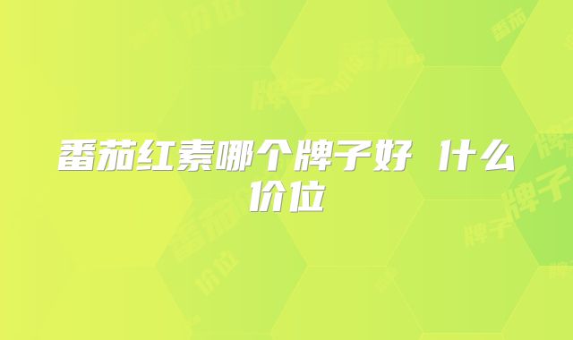 番茄红素哪个牌子好 什么价位
