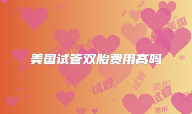 美国试管双胎费用高吗