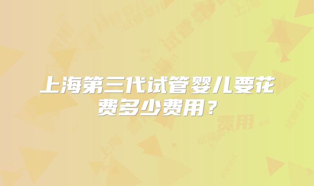 上海第三代试管婴儿要花费多少费用？