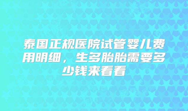 泰国正规医院试管婴儿费用明细，生多胎胎需要多少钱来看看
