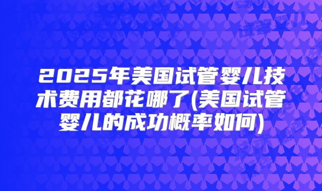2025年美国试管婴儿技术费用都花哪了(美国试管婴儿的成功概率如何)