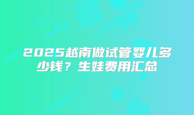 2025越南做试管婴儿多少钱？生娃费用汇总