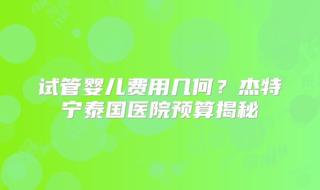 试管婴儿费用几何？杰特宁泰国医院预算揭秘