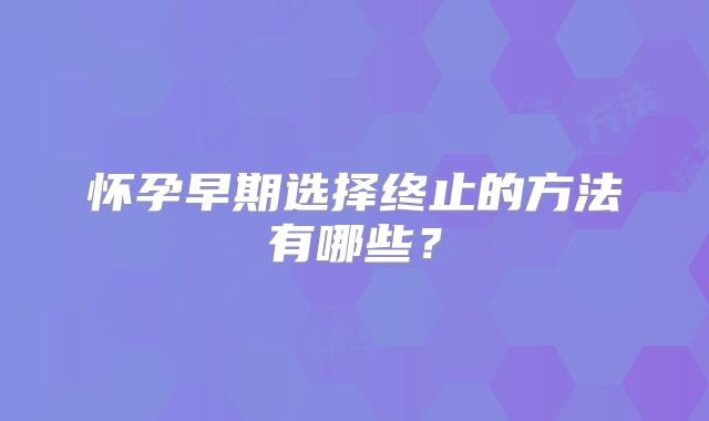 怀孕早期选择终止的方法有哪些？