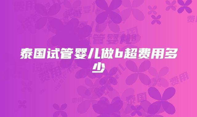 泰国试管婴儿做b超费用多少