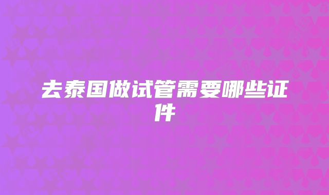去泰国做试管需要哪些证件