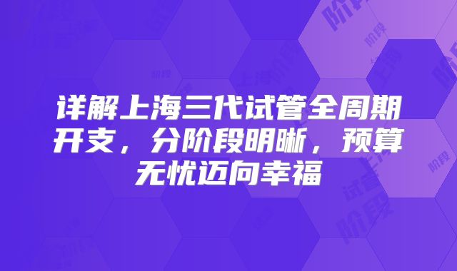 详解上海三代试管全周期开支，分阶段明晰，预算无忧迈向幸福