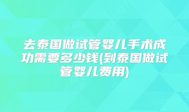 去泰国做试管婴儿手术成功需要多少钱(到泰国做试管婴儿费用)