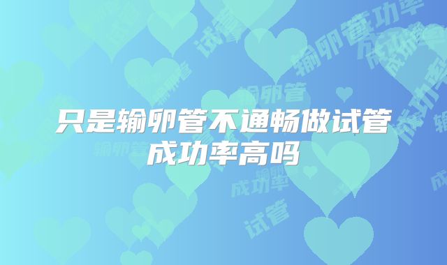 只是输卵管不通畅做试管成功率高吗