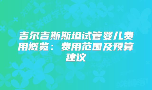 吉尔吉斯斯坦试管婴儿费用概览：费用范围及预算建议