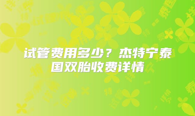 试管费用多少？杰特宁泰国双胎收费详情