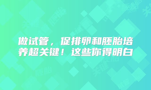 做试管,促排卵和胚胎培养超关键!这些你得明白