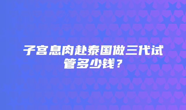 子宫息肉赴泰国做三代试管多少钱？
