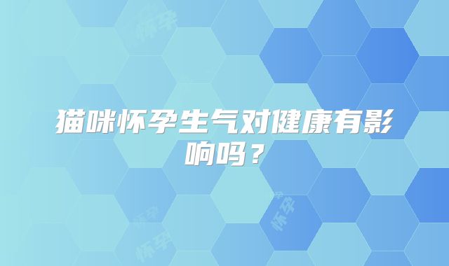 猫咪怀孕生气对健康有影响吗？