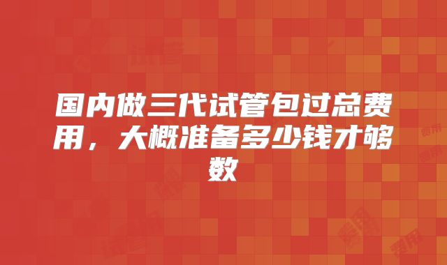 国内做三代试管包过总费用，大概准备多少钱才够数
